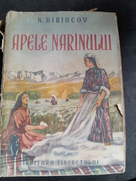 Apele Narinului - N. Biriucov