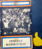 Cronicile microbistului G. Mitroi