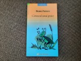 Bruno Ferrero - Cantecul unui greier