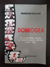 DOBROGEA DE LA REFORMA AGRARA LA COLECTIVIZAREA FORTATA (1945-1957) - Cojoc foto