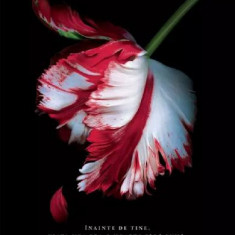 Amurg 2: Luna Noua, Stephenie Meyer - Editura Art