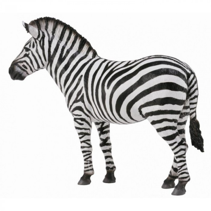 Figurina Zebra Collecta, 12.4 x 9.3 cm, 3 ani+