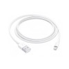 LIGHTNING TO USB CABLE (1 M)-ZML, Apple