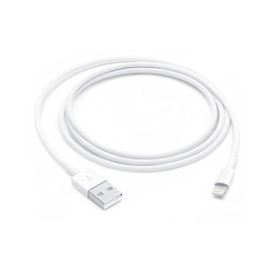 LIGHTNING TO USB CABLE (1 M)-ZML foto