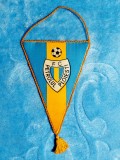 Fanion F C Petrolul Ploiesti - perioada comunista