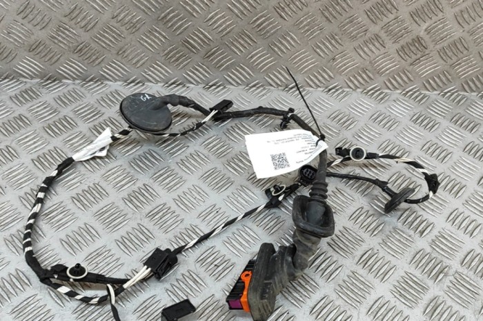 Cablaj ușă st&acirc;nga spate VW AMAROK 2H_, S1B 2020 OEM: 2H7971693Q 28800796