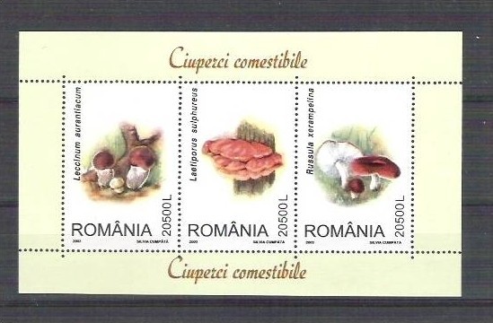 Romania 2003 - Mushrooms - MNH perforated sheet RO.008
