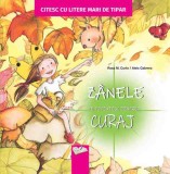 Zanele ne povestesc despre curaj - Litere de de tipar, Ars Libri