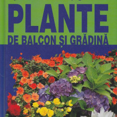 Maria T. della Beffa - Plante de balcon si grădină. Ghid complet