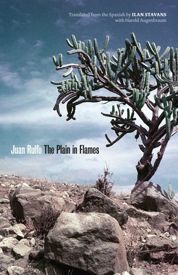 The Plain in Flames foto