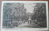 Carte postala, Baile Govora, aleie in parc, 1925