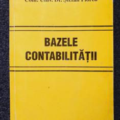 BAZELE CONTABILITATII - Stefan Florea
