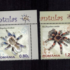 Romania 2010 Fauna Tarantule Serie completa MNH colt de coala LP 1856 b