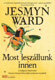 Most lesz&aacute;llunk innen - Jesmyn Ward