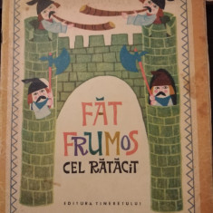 Petre Ispirescu - Fat-Frumos cel ratacit