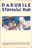 DARURILE SFANTULUI DUH VOL.1-COLECTIV-262321