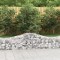 vidaXL Coșuri gabion arcuite 50 buc, 200x50x40/60 cm, fier galvanizat
