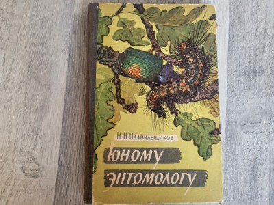 Tanarul entomolog de N.N.Plavilscikov -in lb.rusa foto