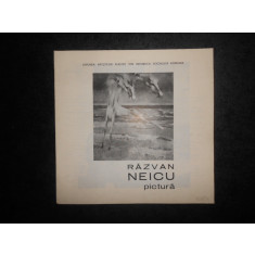 Razvan Neicu. Album Pictura (1989)
