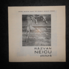 Razvan Neicu. Album Pictura (1989)