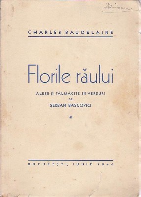 FLORILE RAULUI foto