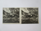 Fotografie stereoscopica anii 30 Războiul 1914-1918:Avion german dobor&acirc;t