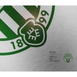 FTC &Eacute;vk&ouml;nyv 2020 - Cz&eacute;g&aacute;ny P&aacute;l