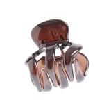Cleste maro de par 4 cm