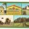 SG5 - Carte Postala - Germania DDR, Festung Konigstein, Necirculata 1981