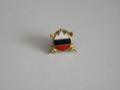 QW9 N3 2 - insigna - steag- culori si insemne nationale foto