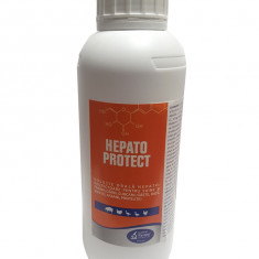 Solutie orala hepato-protectoare pentru suine si pasari, Hepato Protect, Pasteur, 1L