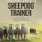Think Like a Sheepdog Trainer - A Guide to Raising and Training a Herding Dog