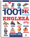 Cumpara ieftin 1001 cuvinte in engleza. Despre mine |