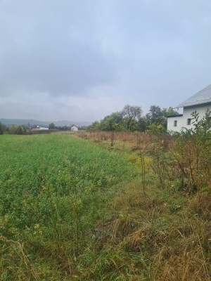 V&amp;acirc;nd teren intravilan foto