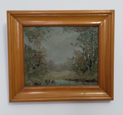 Artist Ioan Roșca foto