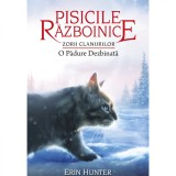 Pisicile razboinice vol.29-Zorii Clanurilor.O padure dezbinata, Erin Hunter