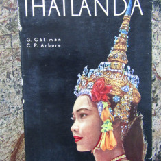 C. Caliman, C.P. Arbore - Thailanda