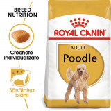 Royal Canin Poodle Adult hrană uscată c&acirc;ine, 1.5kg