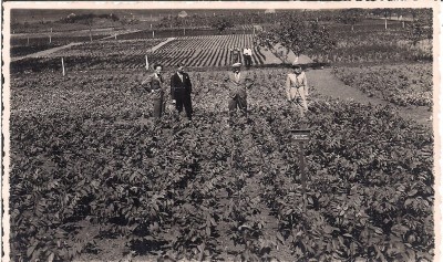 Fotografie din perioada interbelica foto