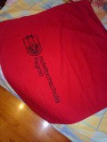 SORT ,,SCOALA DE MANAGEMENT HORELIER PEGNITZ&quot; - GERMANIA ( NOU )