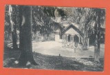 AMS @ - ILUSTRATA BORSEC, scrisa dar necirculata, 1928