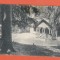 AMS @ - ILUSTRATA BORSEC, scrisa dar necirculata, 1928