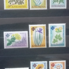 M1 TX5 3 - 1961 - Centenarul gradinii botanice din Bucuresti