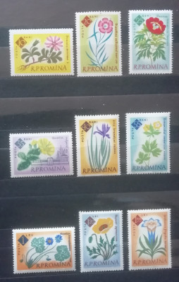 M1 TX5 3 - 1961 - Centenarul gradinii botanice din Bucuresti foto