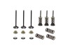 Set complet supape admisie Yamaha WR 250F 01- 13