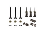 Set complet supape admisie Yamaha WR 250F 01- 13
