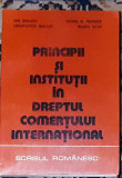 I Dogaru - Principii si institutii in dreptul comertului international