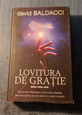 Lovitura de gratie David Baldacci foto