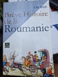 Breve histoire de la Roumanie - Ion Bulei