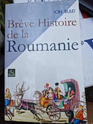 Breve histoire de la Roumanie - Ion Bulei foto